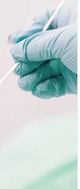 Brochure illustration of a gloved hand holding a sampling swab
